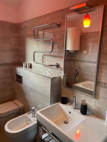 イチチにあるApartment Meerblick Opatija (Icici)の洗面台、トイレ、鏡のあるバスルーム