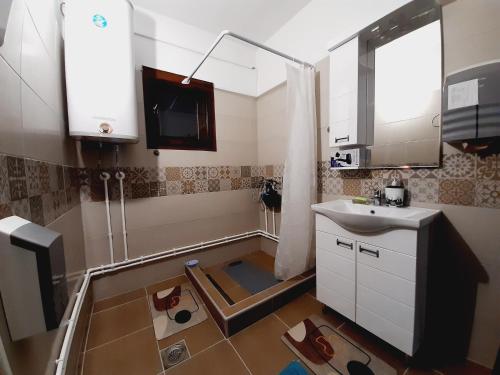 W łazience znajduje się prysznic, umywalka i lustro. w obiekcie Stefanovića kuća w mieście Babušnica