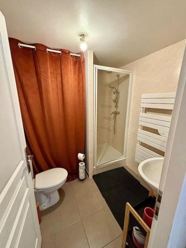 a small bathroom with a toilet and a shower at Duplex en plein centre-ville in Morestel