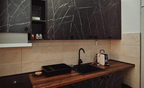 a kitchen with a counter with a sink and a toaster at M lux Kragujevac in Kragujevac