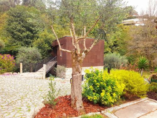 a tree in the middle of a garden at Moinhos Carvalhas in Arcos de Valdevez