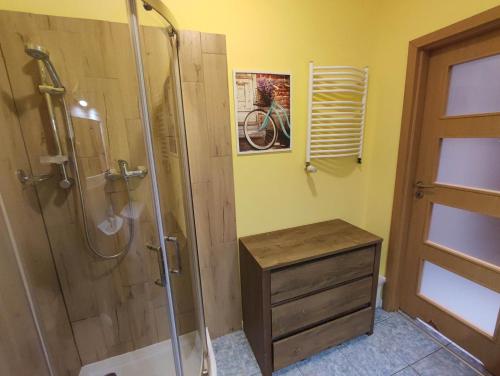 シュチェチンにあるKGHN Apartments Wyszyńskiego 12 Brama Portowaのバスルーム(シャワー付)、木製キャビネットが備わります。