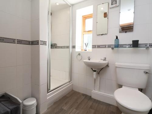 uma casa de banho branca com um WC e um lavatório em Rhydonnen Bach em Denbigh