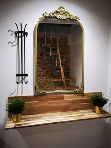 un miroir sur une étagère avec deux plantes en pot dans l'établissement Maison atypique, centre-ville 2+2 pers Sauna IR, à Sedan