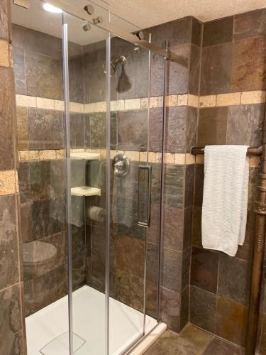 een douche met een glazen deur in de badkamer bij Del Boca Vista in Owatonna