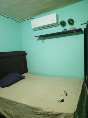a bedroom with a bed with two plants on a shelf at Recamara confortable en San Nicolás in Monterrey