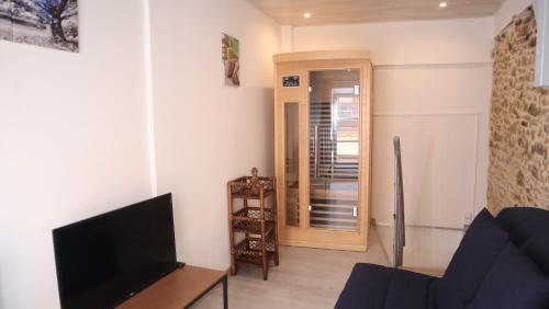 un salon avec un canapé et une télévision dans l'établissement Maison atypique, centre-ville 2+2 pers Sauna IR, à Sedan