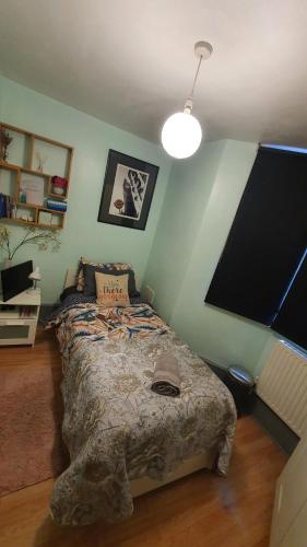 1 dormitorio con 1 cama y TV de pantalla plana en Private single room guest sleep en Londres