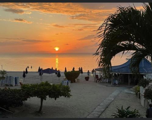 Seacret Studios - Cozy Jamaican Retreat apts