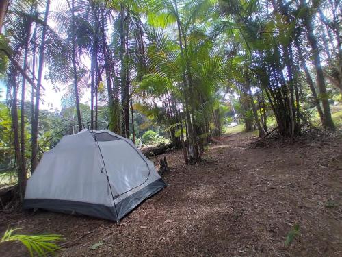 a gray tent sitting in the middle of a forest at CATEDRAL THE ROCK CAMPING in Presidente Figueiredo