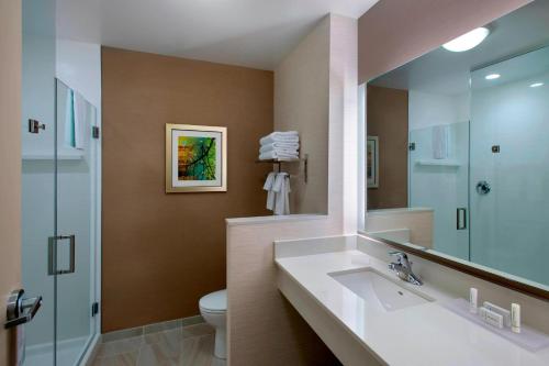 a bathroom with a sink and a toilet and a mirror at Fairfield Inn & Suites by Marriott Syracuse Carrier Circle in East Syracuse