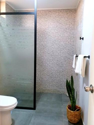 uma casa de banho com um chuveiro, um WC e uma planta em HOTEL SOL DE OCUCAJE em Ica