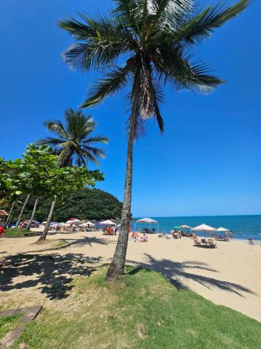uma palmeira numa praia com o oceano em Pousada Vila Ipuan em Paúba