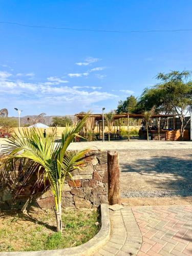 una palmera sentada junto a una pared de piedra en Hotel Sol de Ocucaje, en Ica