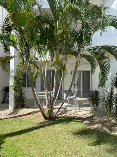 a couple of palm trees in front of a house at Fully renovated Beachfront 1BR Condo in the gated Stanza Mare community with a private beach, pool, onsite restaurant and modern amenities such as refrigerator, dishwasher, filtered water, microwave, BBQ, washer dryer, bamboo linens, free Wi-Fi in Punta Cana