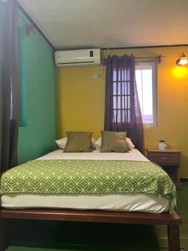 a bedroom with a bed with green walls and a window at Hostal Cay in Bastimentos