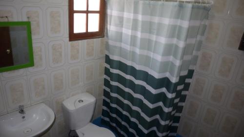 a bathroom with a toilet and a shower curtain at Residencial familiar El Valle in Calama
