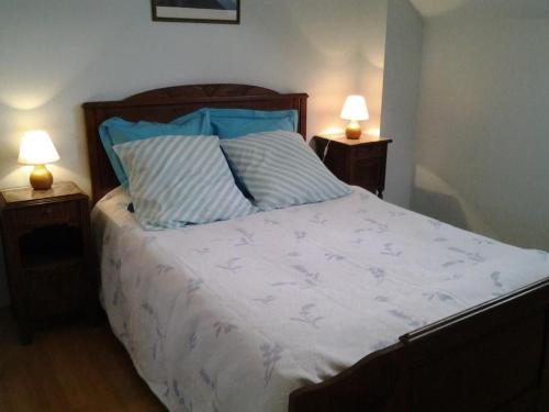 ein Schlafzimmer mit einem Bett mit zwei Lampen auf beiden Seiten in der Unterkunft Gîte Vennecy, 3 pièces, 4 personnes - FR-1-590-392 in Vennecy