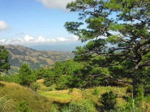 widok na góry z wzgórza z drzewami w obiekcie Nueva era eco park resort danglas abra w mieście Bangued