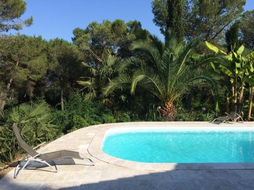 - une piscine avec 2 chaises et un palmier dans l'établissement Le Mazet De Trial, à Aubais