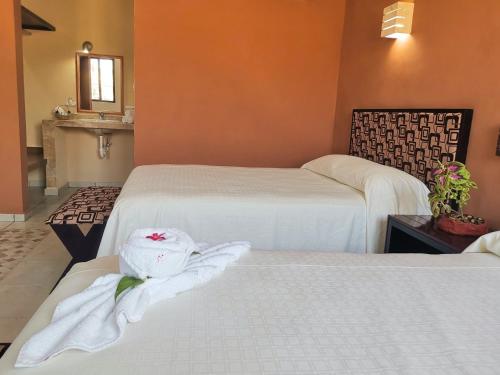 Hotel Casa Pellegrin – Photos 3