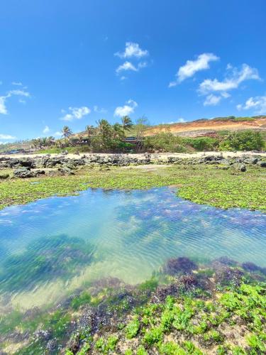 a pool of water in a field with trees in the background at Pousada Paraíso das Tartarugas in Pipa