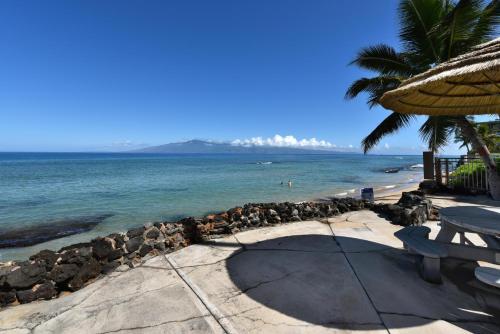a beach with a bench and a palm tree and the ocean at Kaleialoha 401 · KA 401 Spacious Studio w Mountain View Pool AC in Kahana