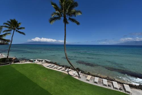 a view of the ocean with chairs and palm trees at Kaleialoha 401 · KA 401 Spacious Studio w Mountain View Pool AC in Kahana
