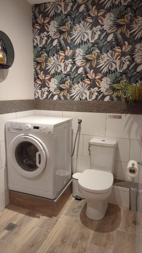 une machine à laver dans une salle de bain avec toilettes dans l'établissement U Maestrale, à Canale-di-Verde