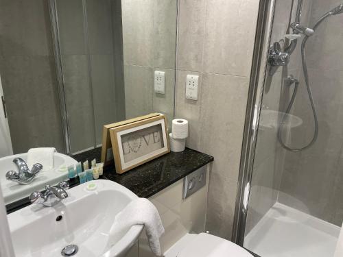 a bathroom with a shower and a sink and a mirror at London City 1 Bed with Roof Terrace in London