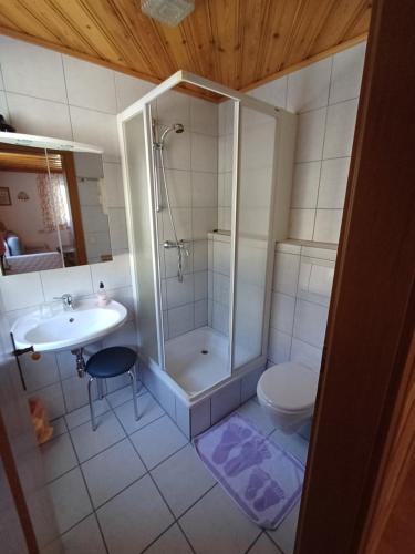 y baño con ducha, aseo y lavamanos. en Prestlhof, en Mariapfarr