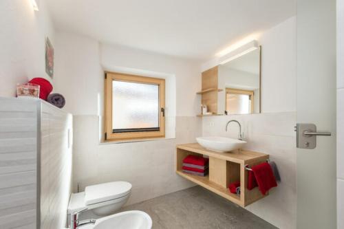 ein Badezimmer mit einem weißen WC und einem Waschbecken in der Unterkunft Ausserharmerhof App Anno 1556 in Santa Maddalena in Casies