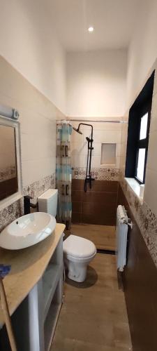 La salle de bains est pourvue de toilettes, d'un lavabo et d'une douche. dans l'établissement F2 duplex plages et promenades, à Annaba