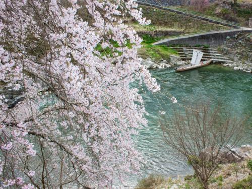 Paisaje cerca de este ryokan