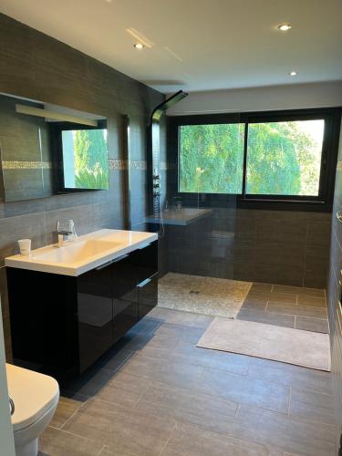 ein Bad mit einem Waschbecken, einer Dusche und einem WC in der Unterkunft Lot de deux villas a louer dans un cadre idyllique a Gemenos in Gémenos