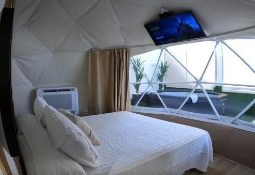 1 dormitorio con 1 cama y TV en la pared en Belmonte Rooms, en Córdoba