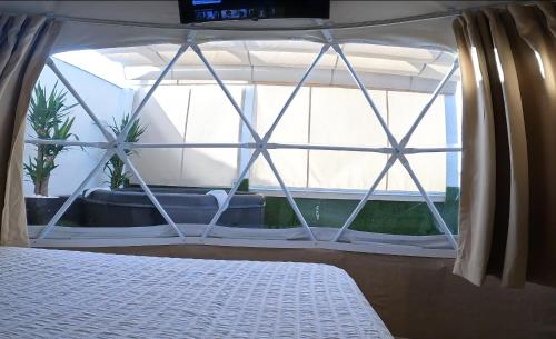 ventana con cama en una habitación con macetas en Belmonte Rooms, en Córdoba