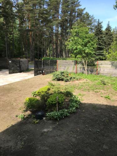 un giardino con un mucchio di piante nella terra di Baņuta_2 a Saulkrasti