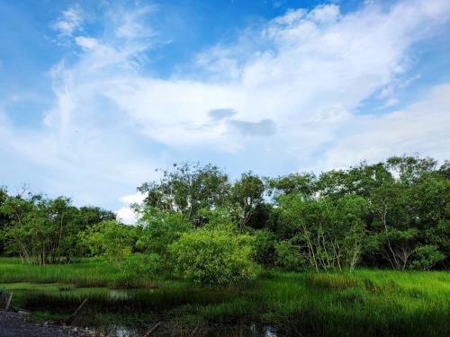 a field of grass and trees with a cloudy sky at Lembah Saerah Resort in Kangar