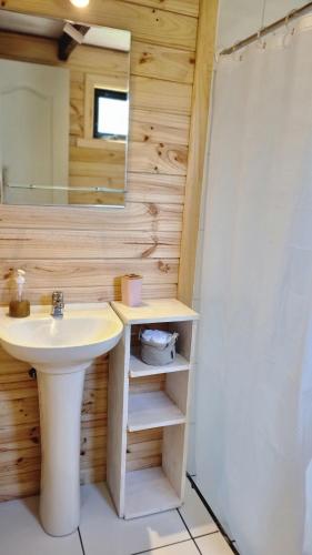a bathroom with a sink and a mirror at Cabaña en Llifen in Futrono