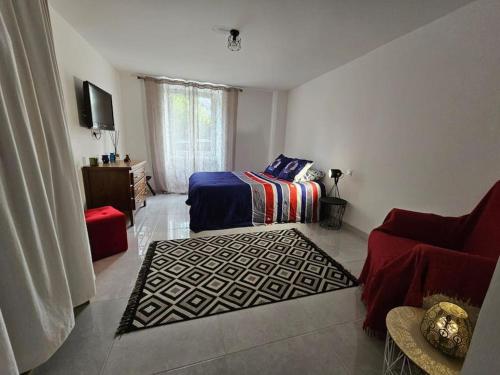 莫爾比耶的住宿－Appartement T2 bis à morbier，一间卧室配有床、沙发和地毯。