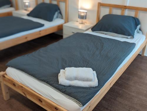zwei Betten mit Handtüchern drauf in der Unterkunft Spacious apartment in Asten perfect for long stays in Asten