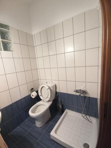 a bathroom with a toilet and a bath tub at Litochoro apartment in Litochoro