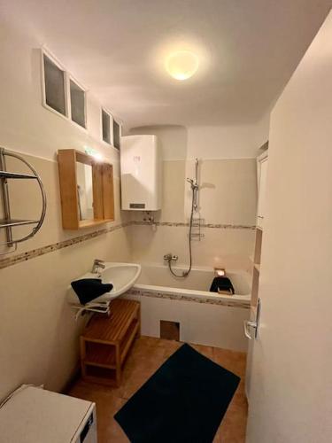 a bathroom with a sink and a shower in it at Wohnung Nähe LKH und der Med Uni in Graz