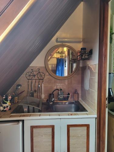 - une cuisine avec un évier et un miroir dans l'établissement Studio Colmar, à Colmar