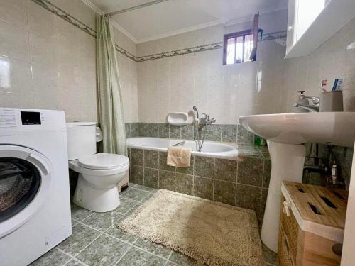 a bathroom with a toilet and a sink and a washing machine at Mani Spot -cereus in Areopoli