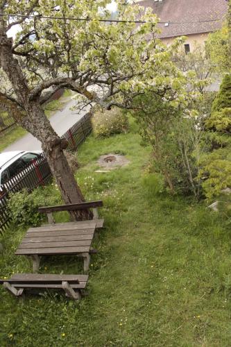 a park bench next to a tree with white flowers at Penzion Hodky in Světlá pod Ještědem