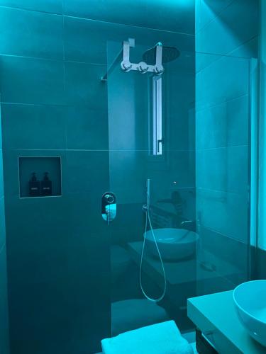 La salle de bains bleue est pourvue d'une douche et de toilettes. dans l'établissement Villa Carlotta, à Salionze