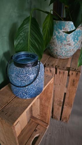 two blue vases sitting on a wooden crate with a plant at Villa in the forest of Amsterdam with Pool in Velsen-Zuid