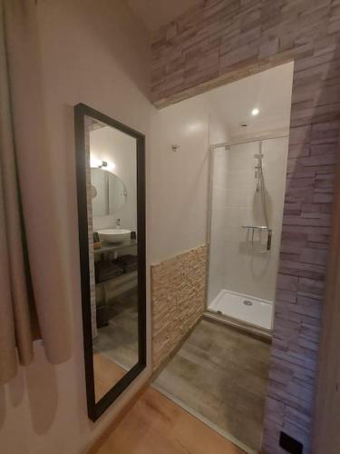 een badkamer met een douche, een spiegel en een wastafel bij Logement à 6 minutes du parc des expositions. in Chavagne